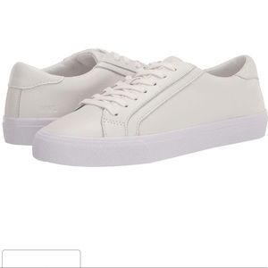 Madewell Women's Sidewalk Low Top Sneakers